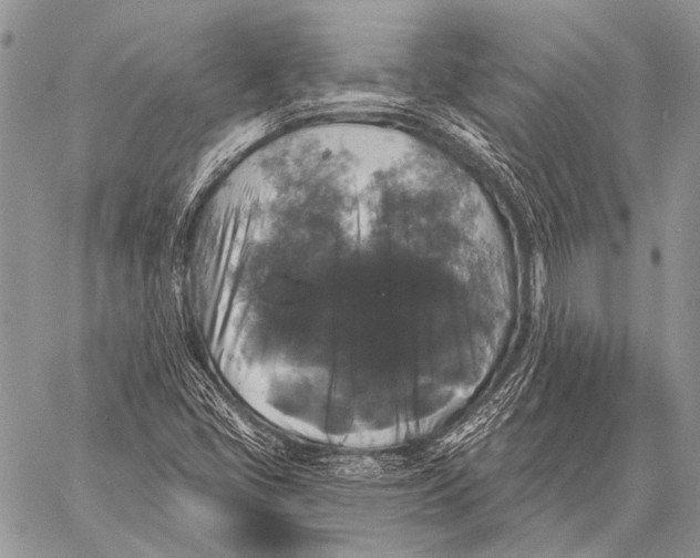 X0000058141405200510171350