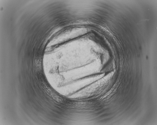 X0000058141409200510171350