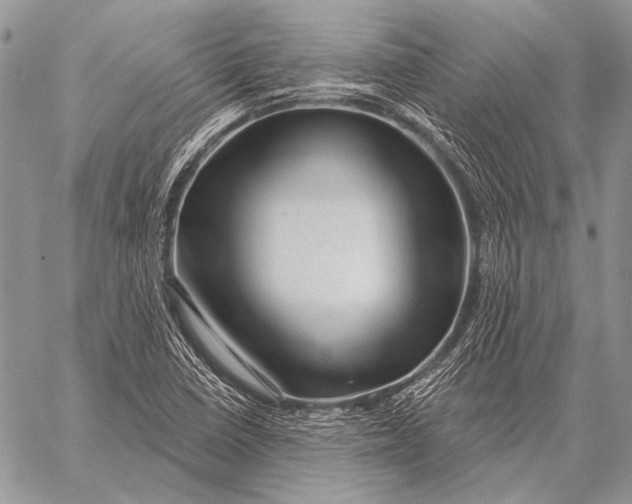 X0000058141410200510171350