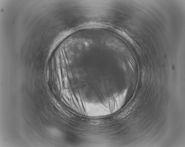 X0000058141413200510171350