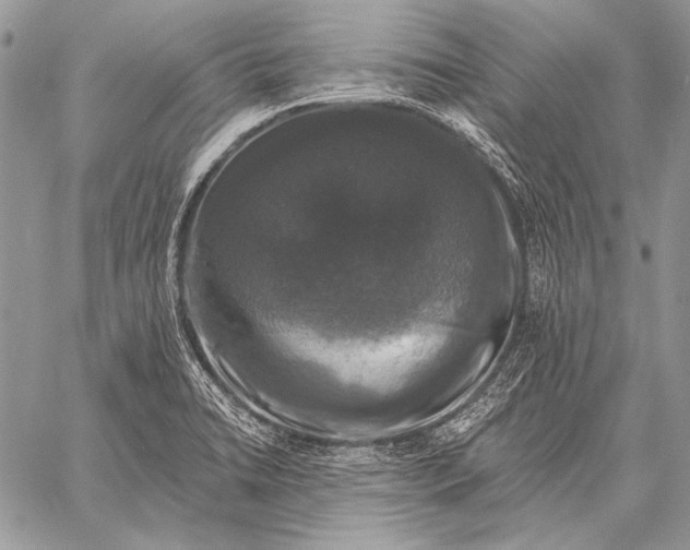 X0000058141422200510171350