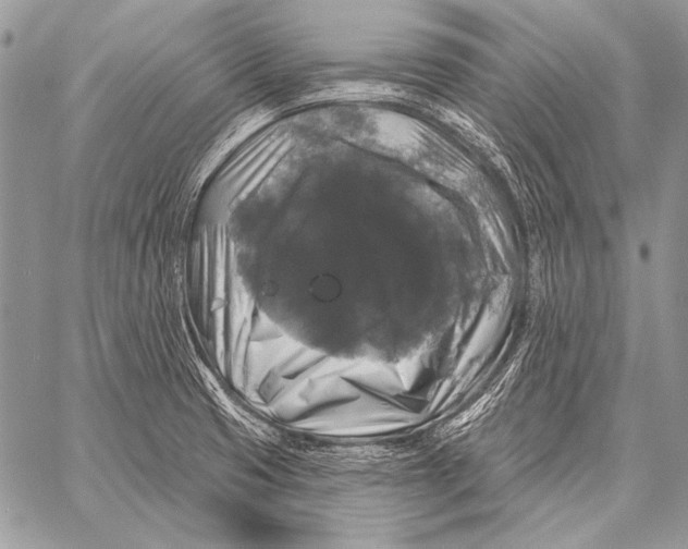 X0000058141425200510171350