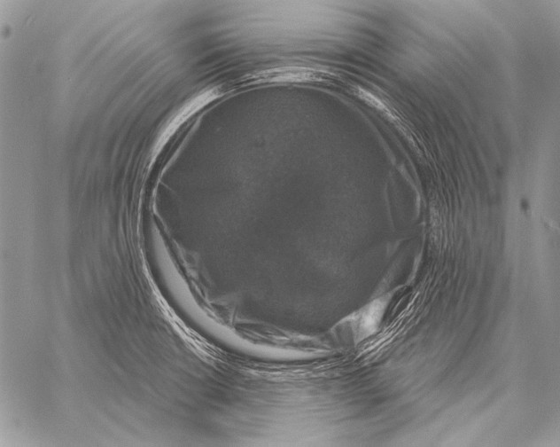 X0000058141426200510171350