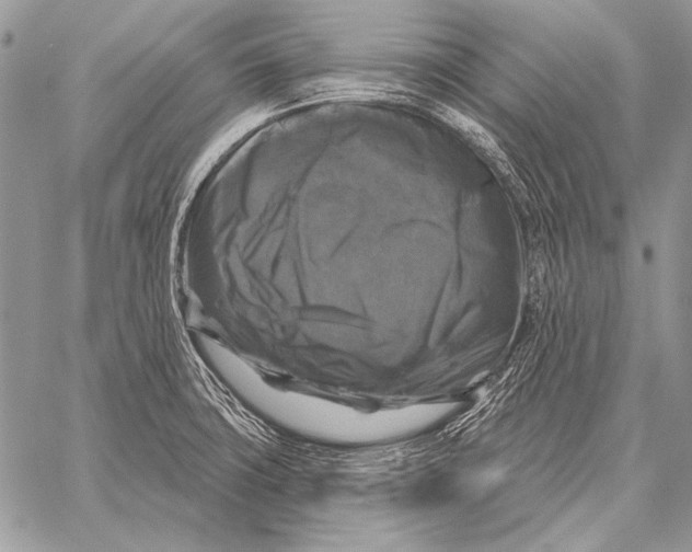 X0000058141427200510171350