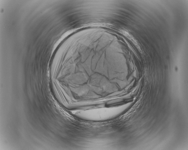 X0000058141428200510171350