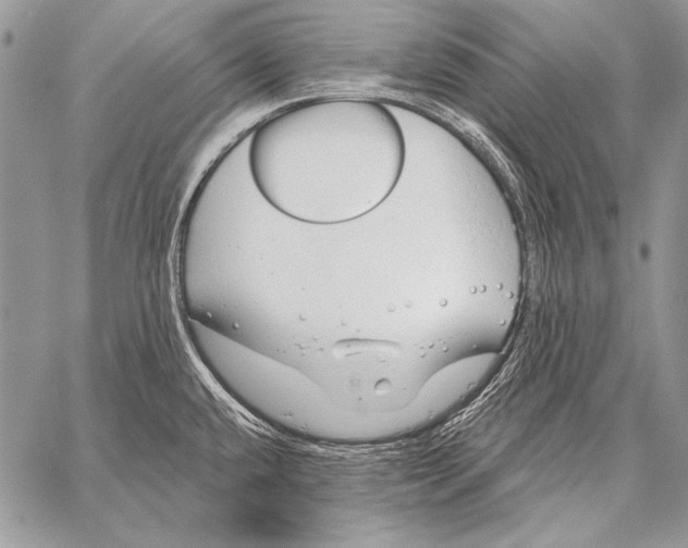 X0000058141432200510171351