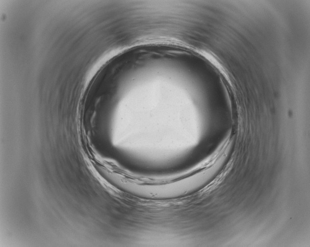 X0000058141438200510171351