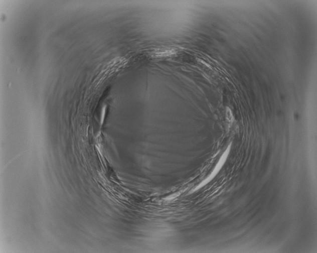 X0000058141441200510171350