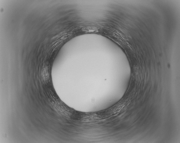 X0000058141442200510171350