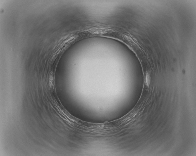 X0000058141444200510171350
