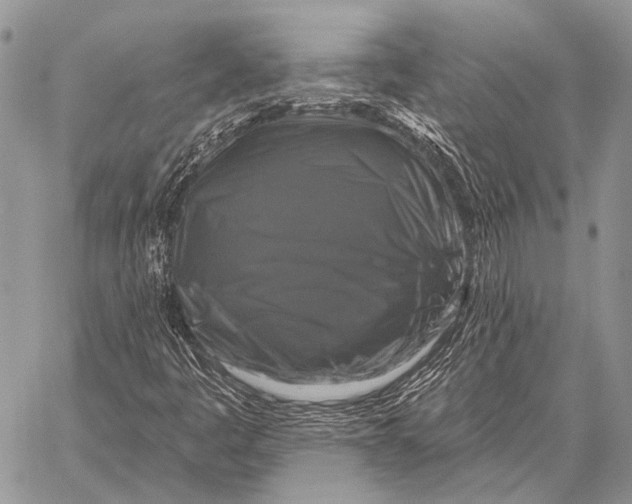 X0000058141445200510171350
