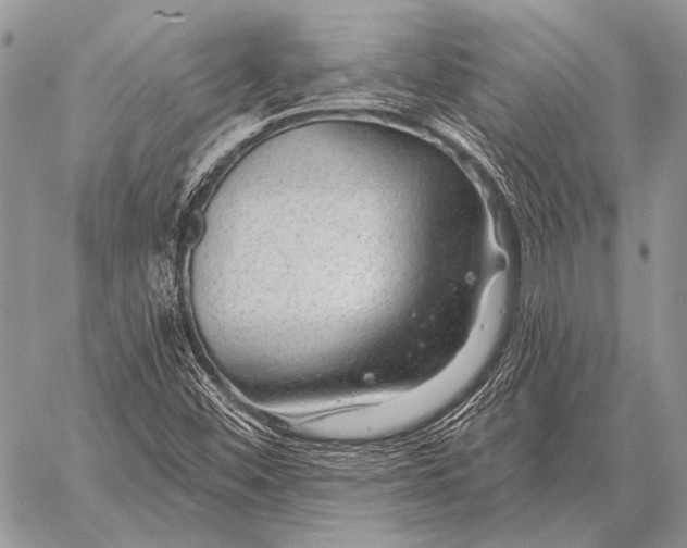 X0000058141452200510171350