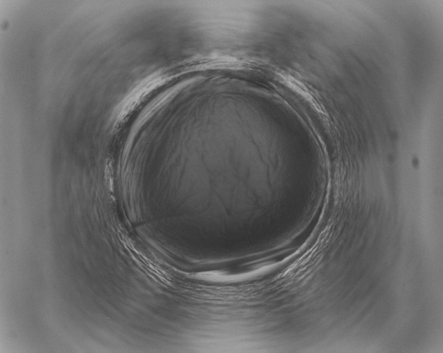 X0000058141455200510171350