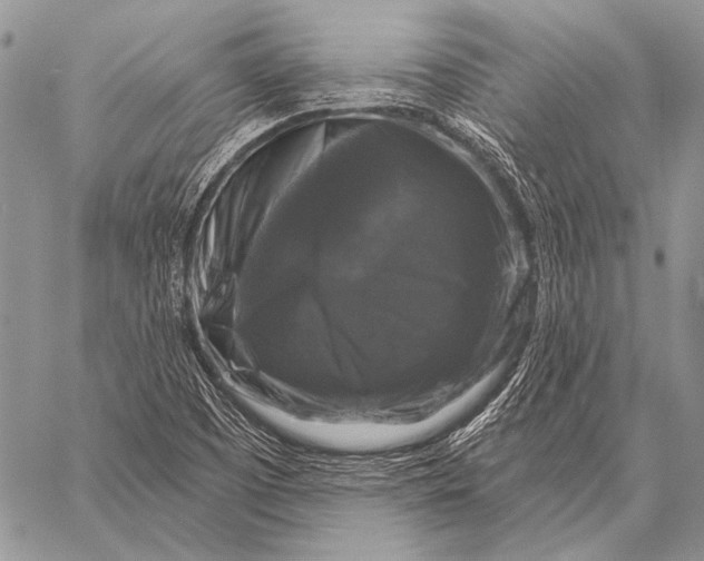 X0000058141457200510171350