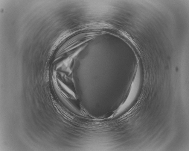 X0000058141459200510171350