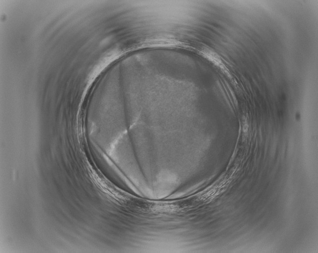X0000058141466200510171349