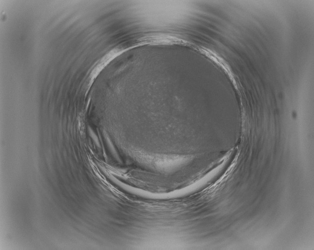 X0000058141481200510171349