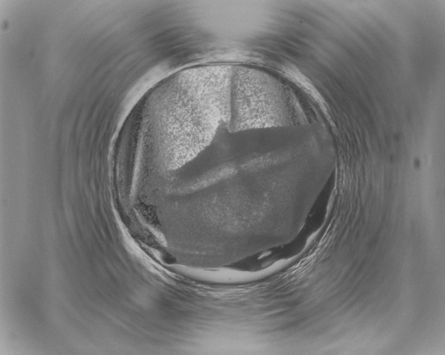 X0000058141483200510171349