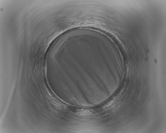 X0000058141505200510171349