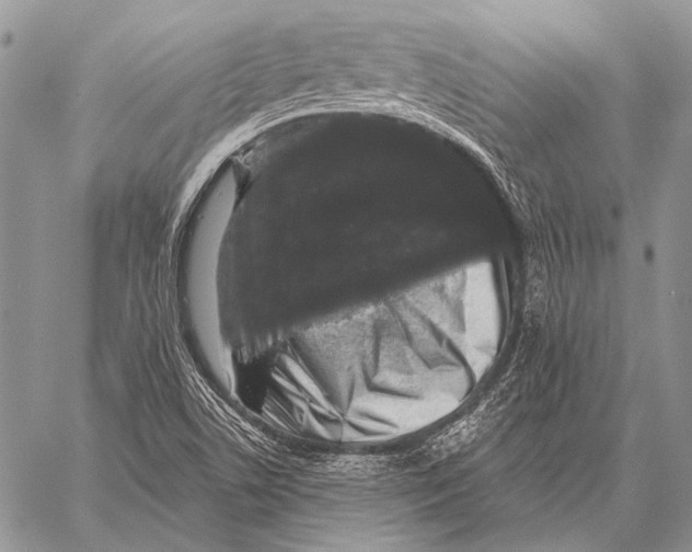 X0000058141506200510171349
