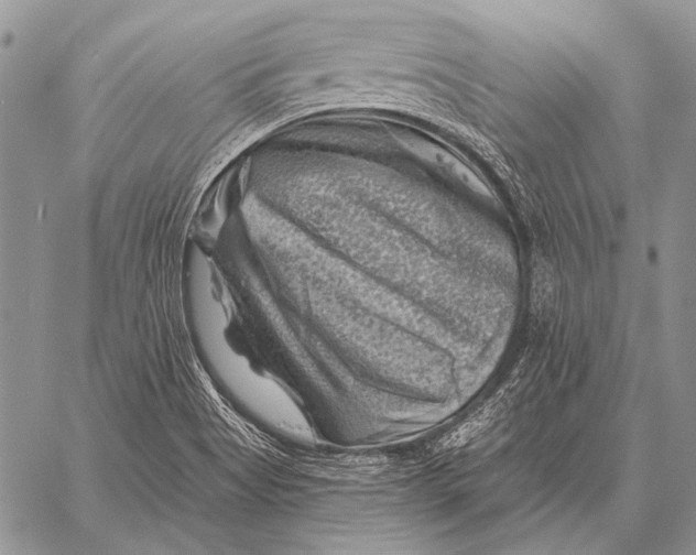 X0000058141513200510171349