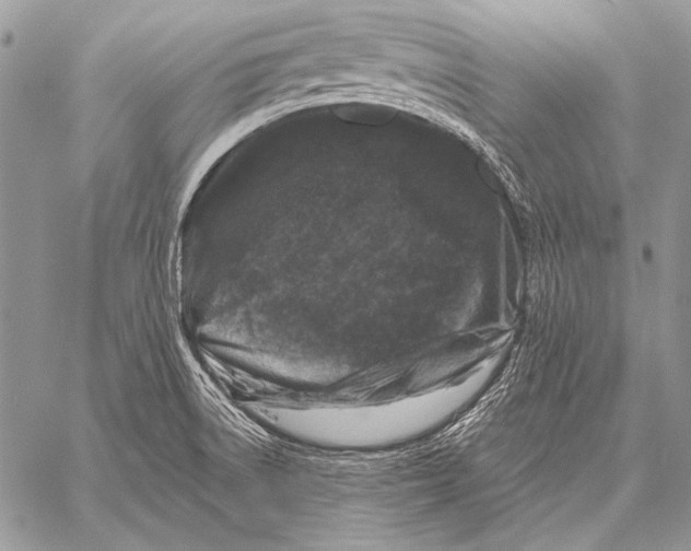 X0000058141522200510171349
