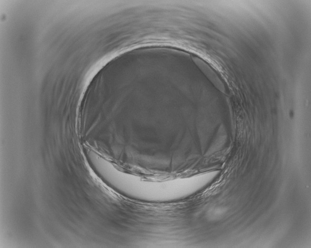 X0000058141527200510171349