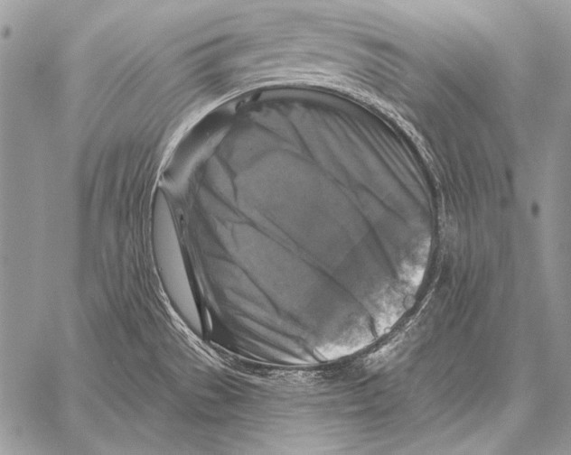 X0000058141529200510171349