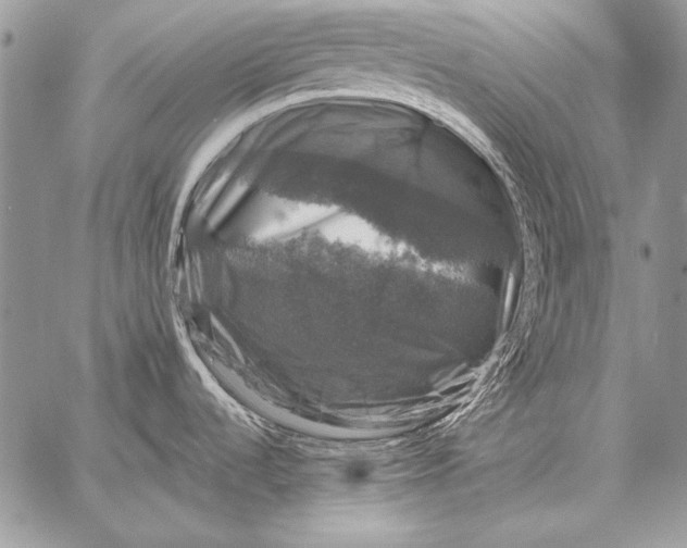 X0000058141536200510171349