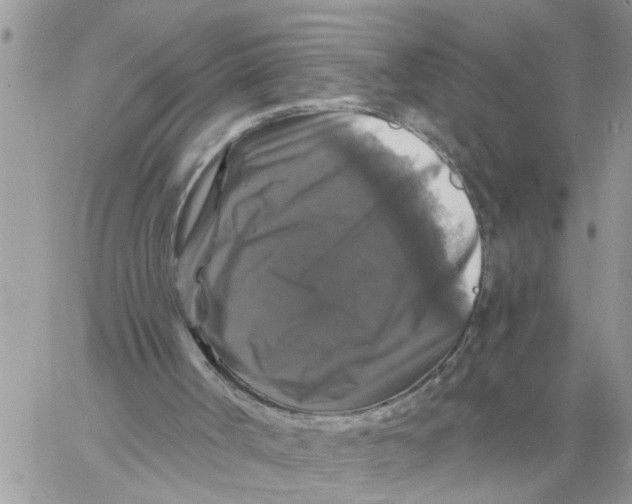 X0000058140002200510212123