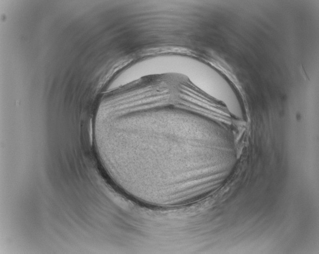 X0000058140013200510212122