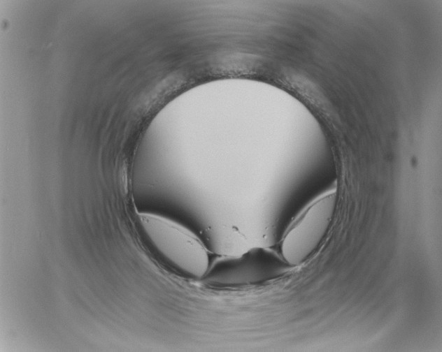 X0000058140021200510212122