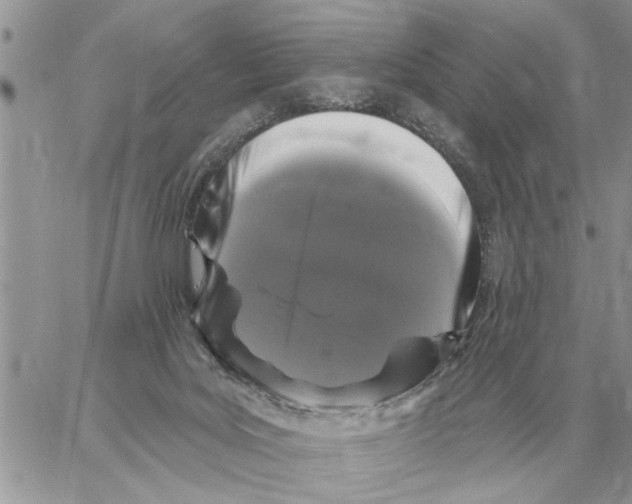 X0000058140027200510212122