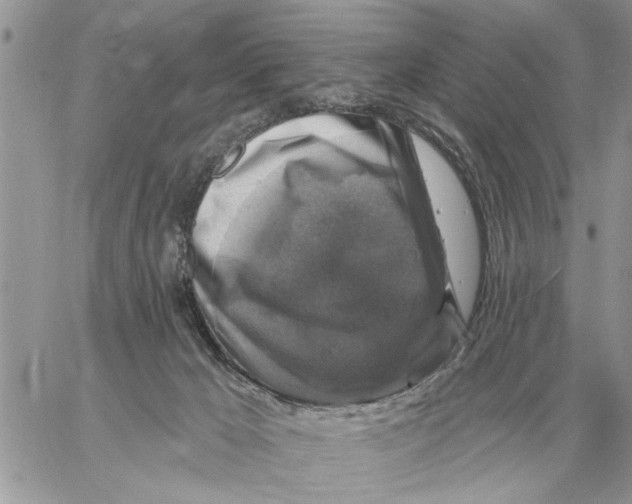X0000058140029200510212122