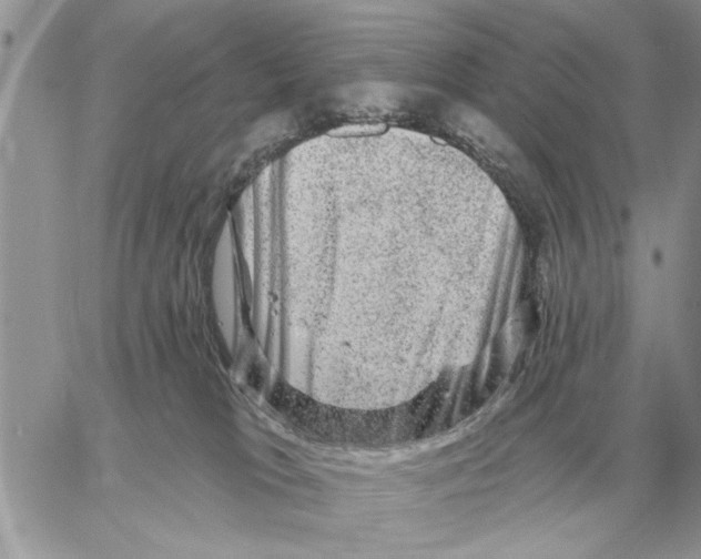 X0000058140037200510212122