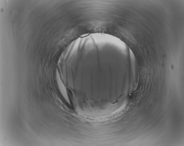 X0000058140039200510212122