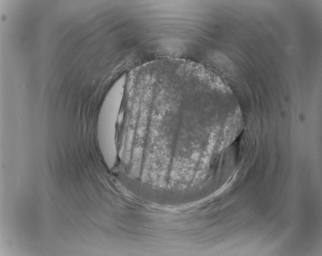 X0000058140045200510212122