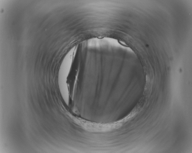 X0000058140048200510212122