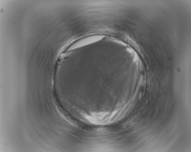 X0000058140059200510212121