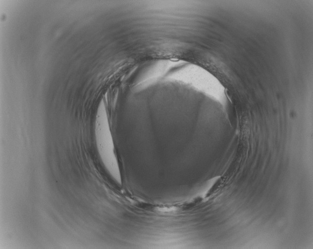 X0000058140076200510212121