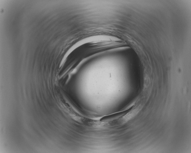 X0000058140096200510212122