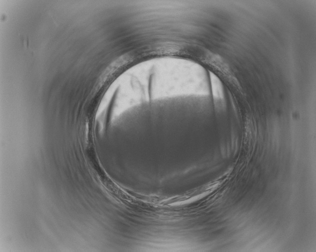 X0000058140110200510212121