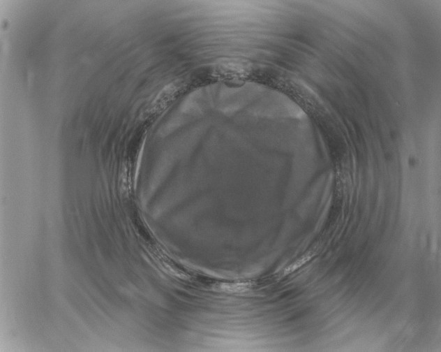 X0000058140134200510212120
