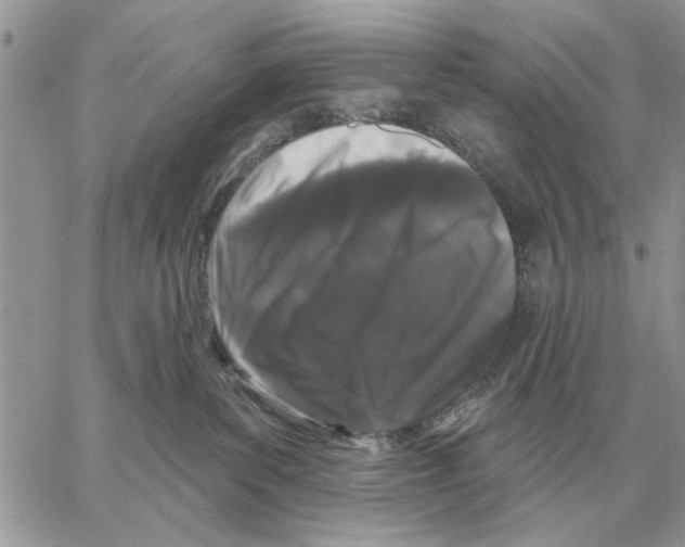 X0000058140139200510212120