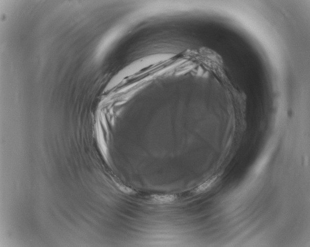X0000058140143200510212120