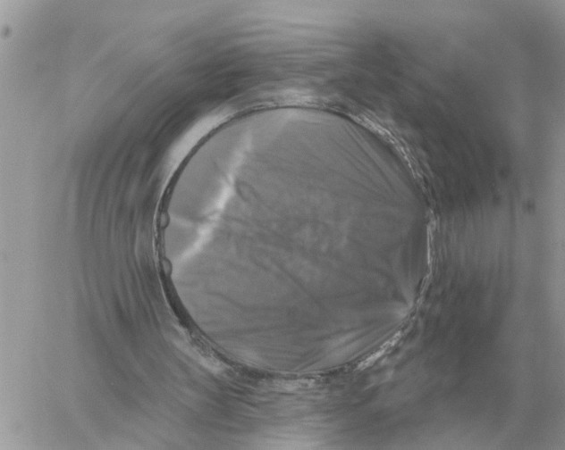X0000058140147200510212119