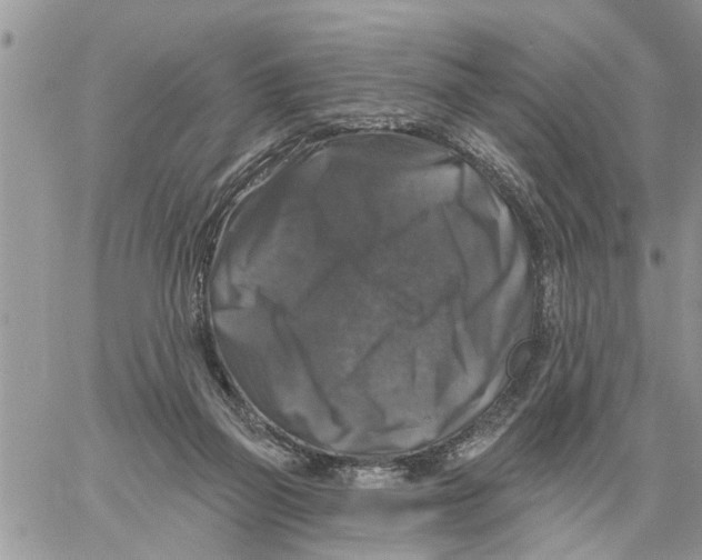 X0000058140165200510212120