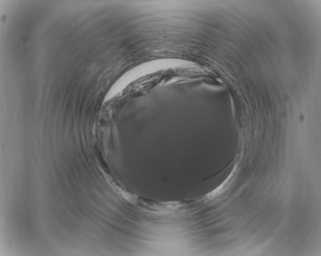 X0000058140192200510212120