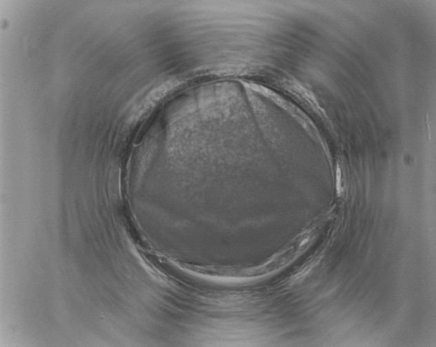 X0000058140205200510212119