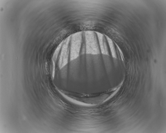 X0000058140224200510212119